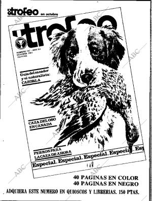 ABC SEVILLA 29-10-1981 página 74