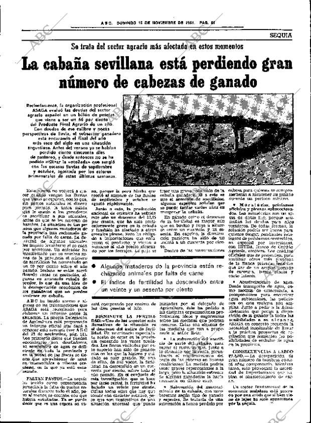 ABC SEVILLA 15-11-1981 página 35