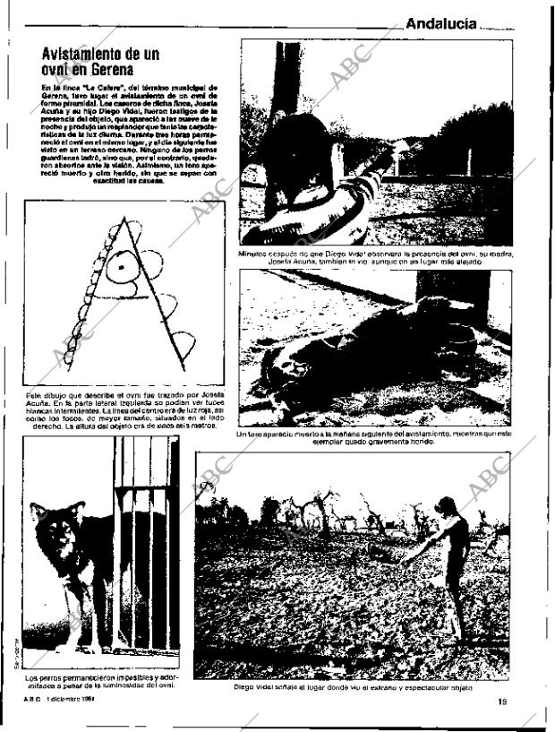 ABC SEVILLA 01-12-1981 página 19