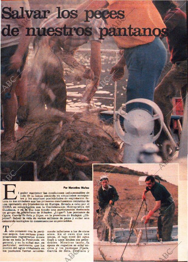 ABC MADRID 13-12-1981 página 149