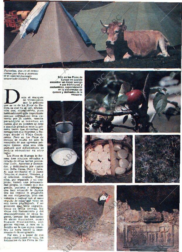 ABC MADRID 13-12-1981 página 185