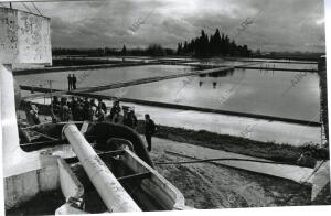 Sondeos de agua en la Algaba