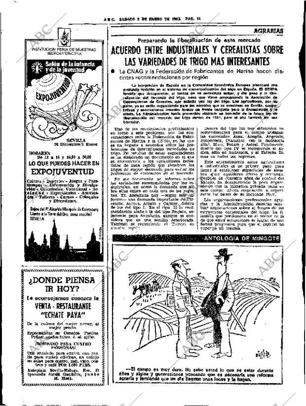 ABC SEVILLA 02-01-1982 página 24