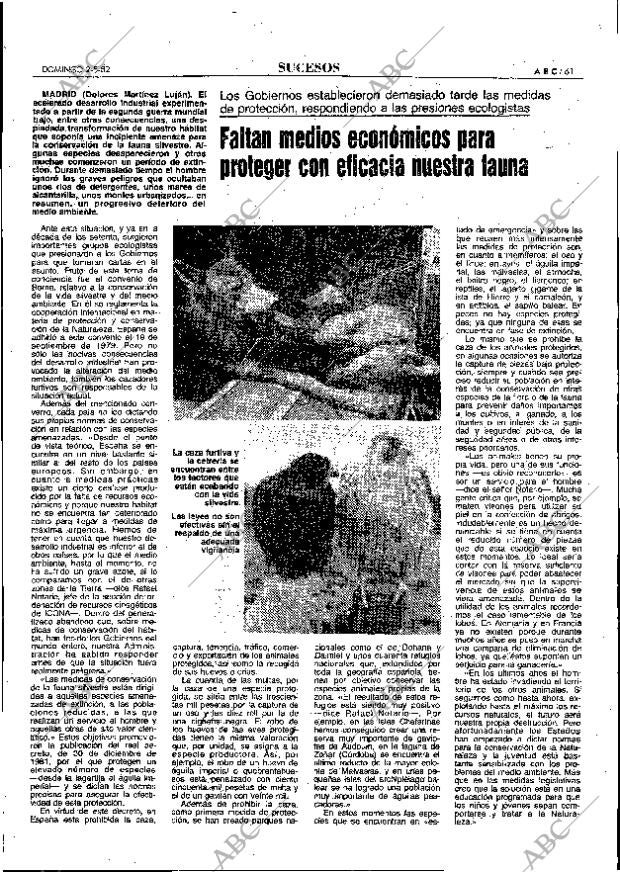 ABC MADRID 02-05-1982 página 61