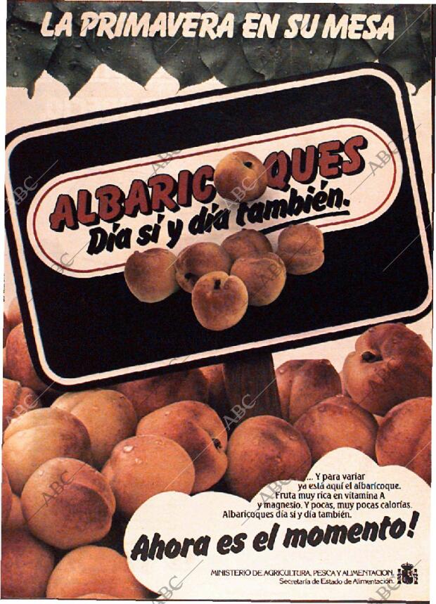 ABC MADRID 13-06-1982 página 134