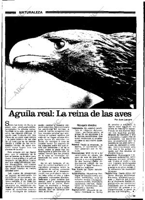 ABC MADRID 18-07-1982 página 133