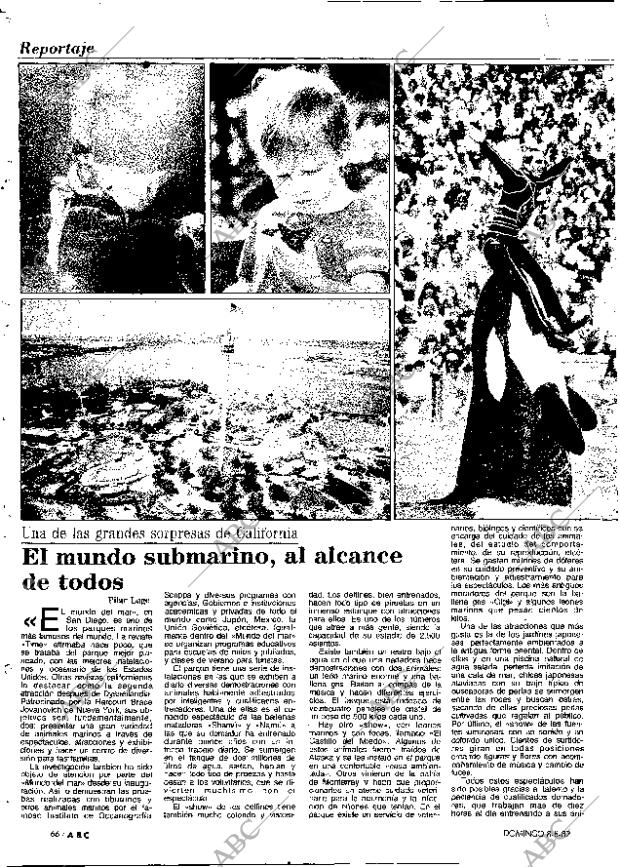 ABC MADRID 08-08-1982 página 66
