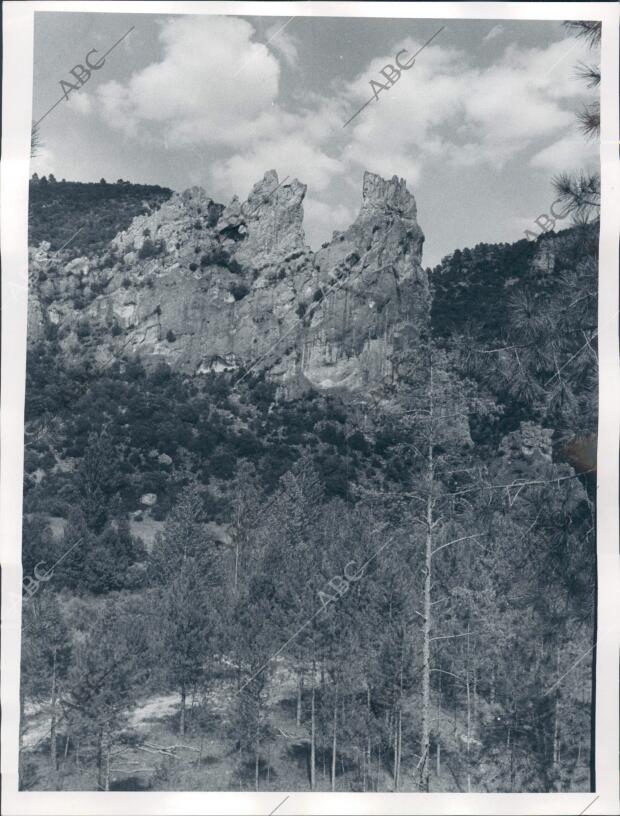 Parque natural del alto tajo