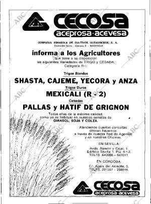 ABC SEVILLA 05-10-1982 página 10