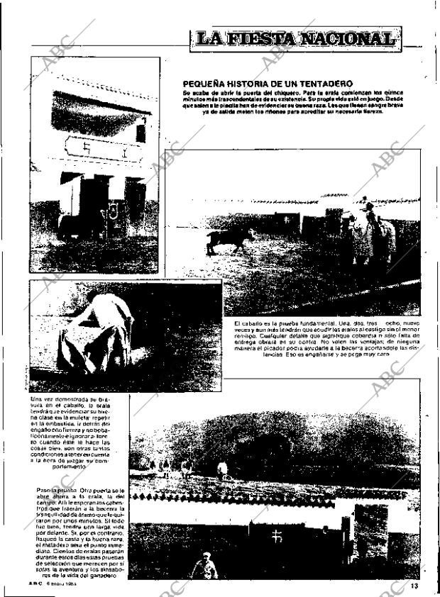 ABC SEVILLA 06-01-1983 página 77