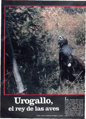 ABC MADRID 30-01-1983 página 142