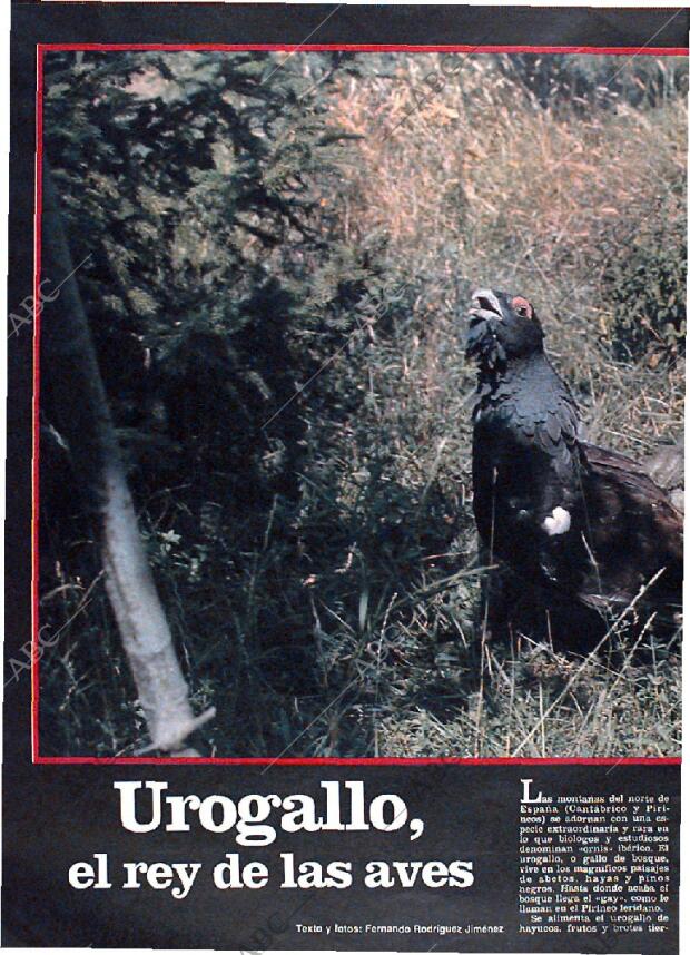 ABC MADRID 30-01-1983 página 142