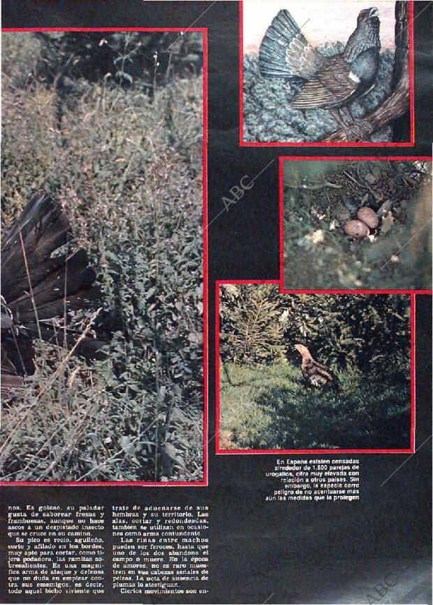 ABC MADRID 30-01-1983 página 143