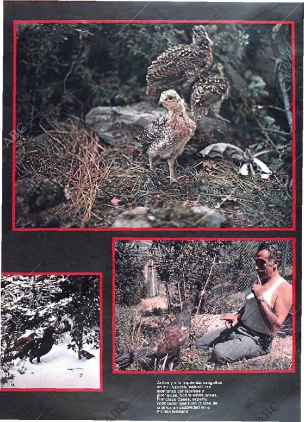 ABC MADRID 30-01-1983 página 144