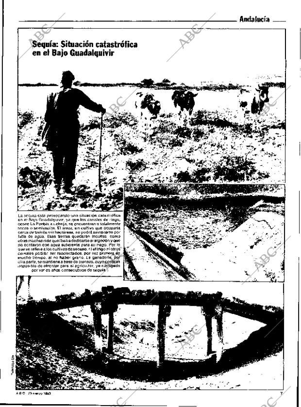ABC SEVILLA 23-03-1983 página 7