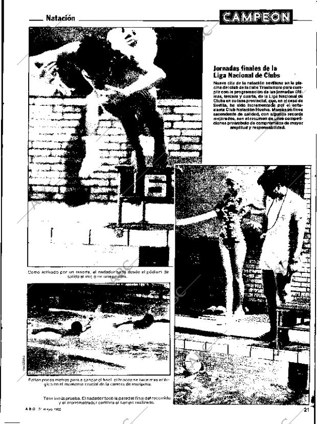 ABC SEVILLA 31-05-1983 página 101