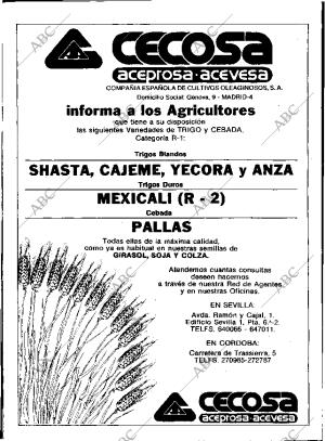 ABC SEVILLA 14-08-1983 página 4