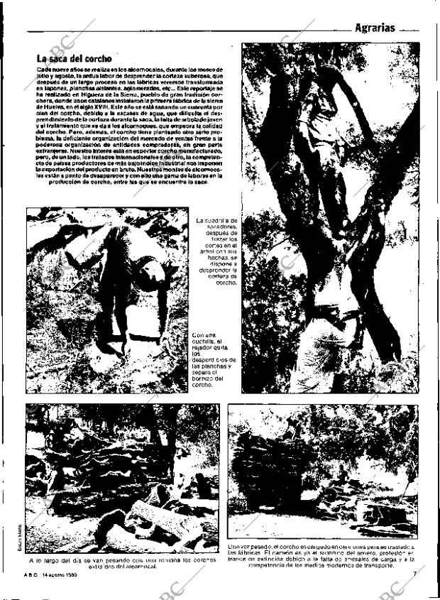 ABC SEVILLA 14-08-1983 página 7