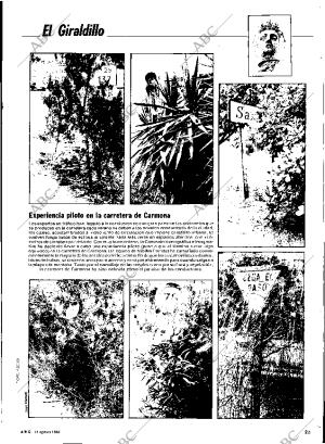 ABC SEVILLA 14-08-1983 página 71