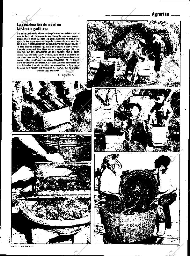 ABC SEVILLA 02-10-1983 página 81