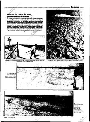 ABC SEVILLA 23-10-1983 página 13