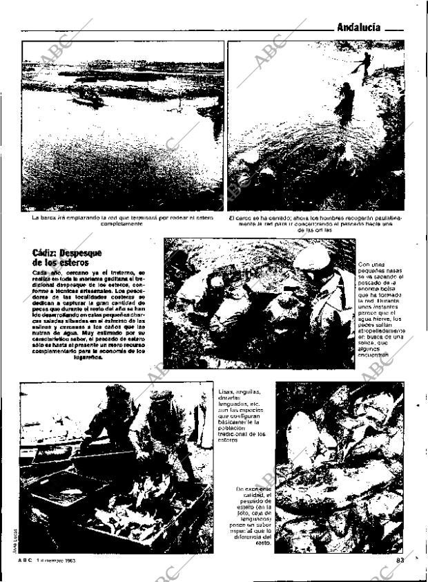 ABC SEVILLA 01-12-1983 página 83
