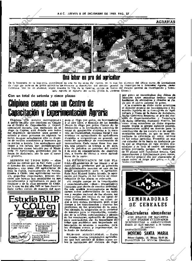ABC SEVILLA 08-12-1983 página 37