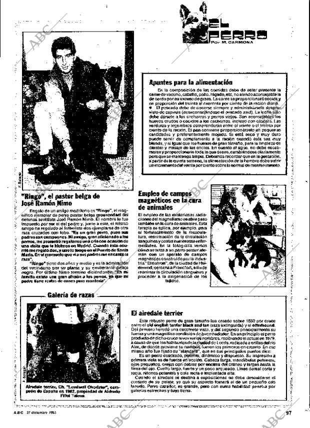 ABC SEVILLA 27-12-1983 página 105