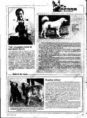 ABC SEVILLA 03-01-1984 página 107