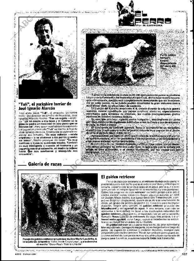 ABC SEVILLA 03-01-1984 página 107