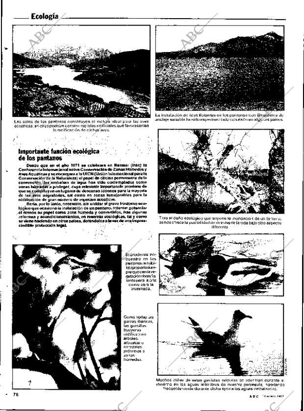 ABC SEVILLA 14-01-1984 página 76