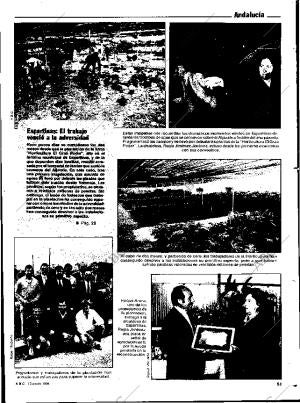 ABC SEVILLA 15-01-1984 página 81