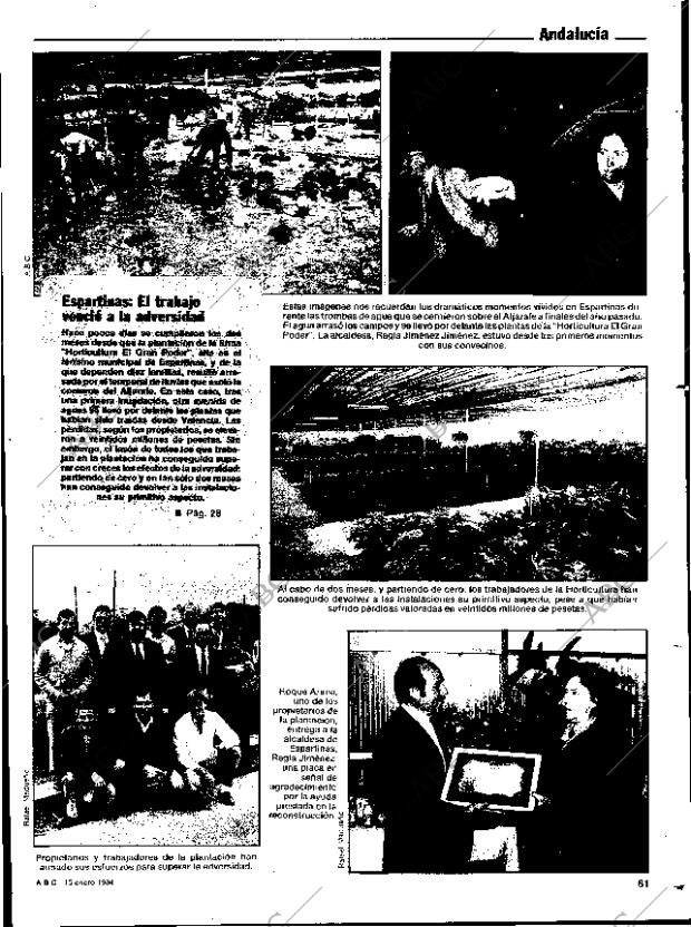 ABC SEVILLA 15-01-1984 página 81