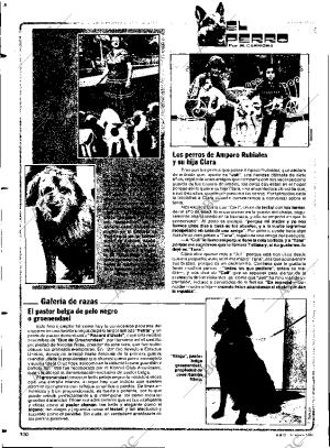 ABC SEVILLA 17-01-1984 página 100