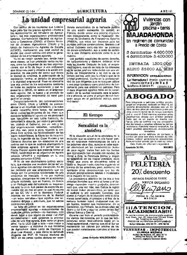 ABC MADRID 22-01-1984 página 61