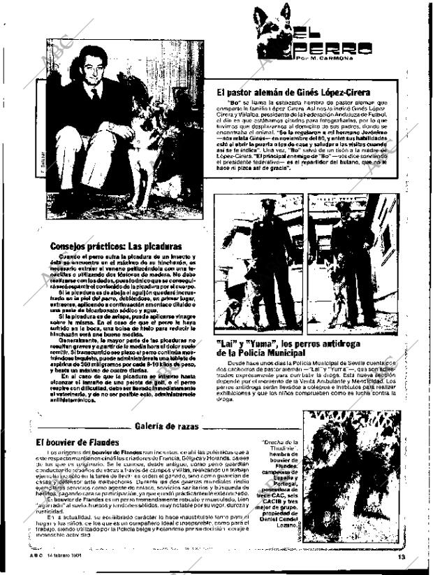 ABC SEVILLA 14-02-1984 página 11