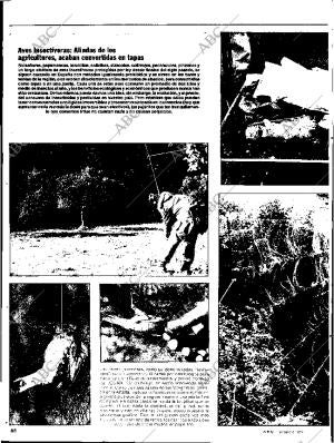 ABC SEVILLA 19-02-1984 página 88