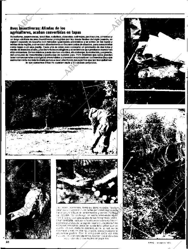 ABC SEVILLA 19-02-1984 página 88