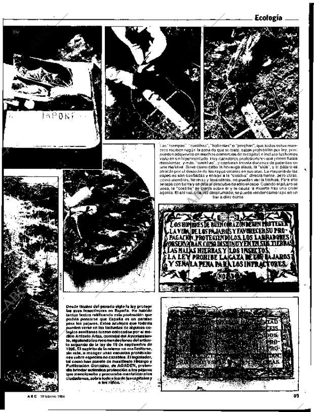 ABC SEVILLA 19-02-1984 página 89