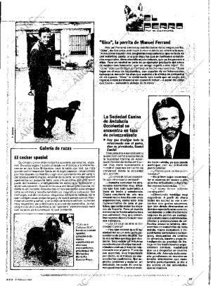 ABC SEVILLA 21-02-1984 página 17