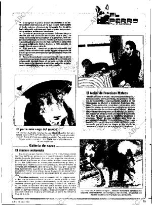 ABC SEVILLA 28-03-1984 página 69