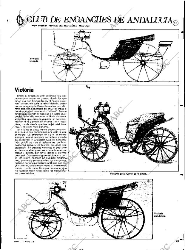 ABC SEVILLA 11-05-1984 página 73