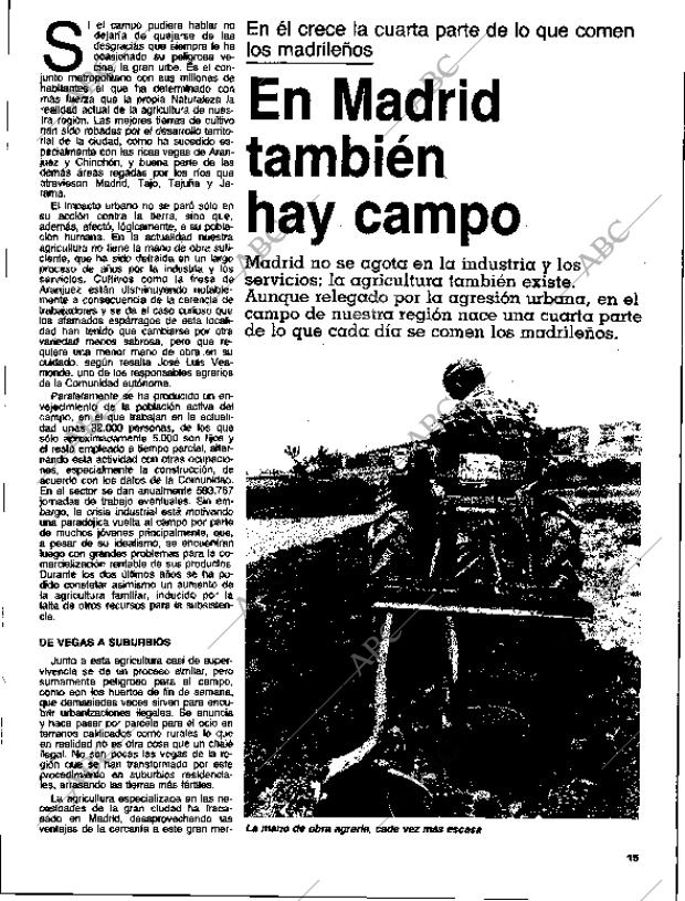 ABC MADRID 16-05-1984 página 127