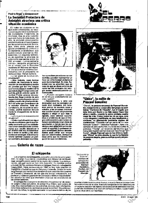 ABC SEVILLA 22-05-1984 página 108