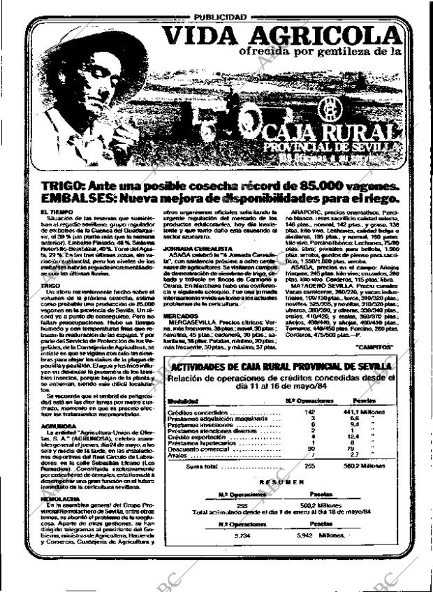 ABC SEVILLA 22-05-1984 página 13