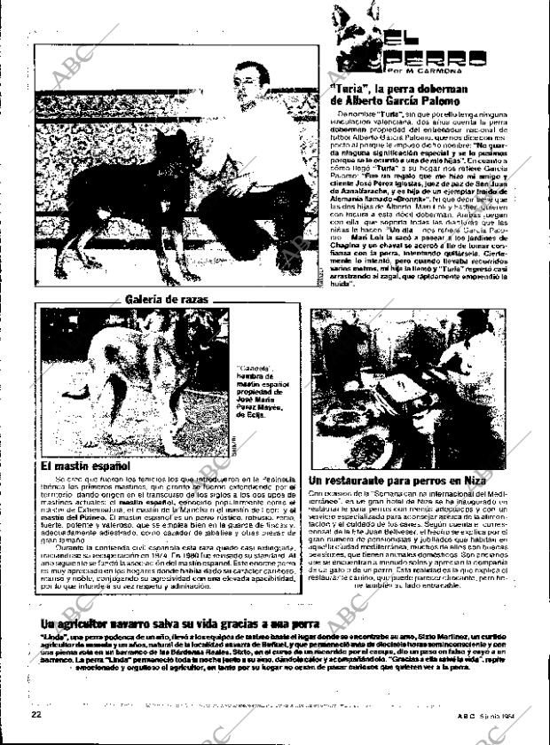 ABC SEVILLA 05-06-1984 página 22