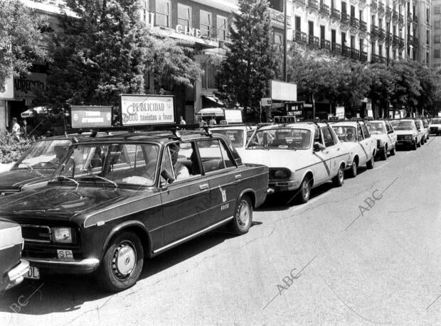 Manifestación de los Taxistas para poder llevar publicidad en sus Vehículos