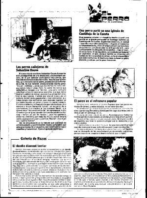 ABC SEVILLA 17-07-1984 página 96