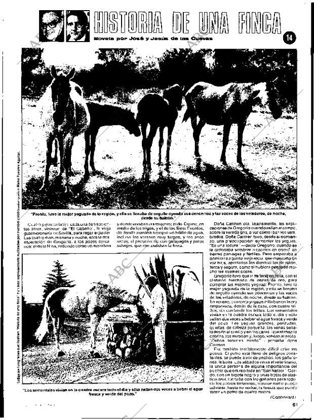 ABC SEVILLA 18-07-1984 página 61