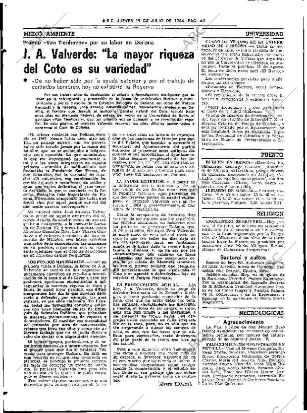 ABC SEVILLA 19-07-1984 página 40